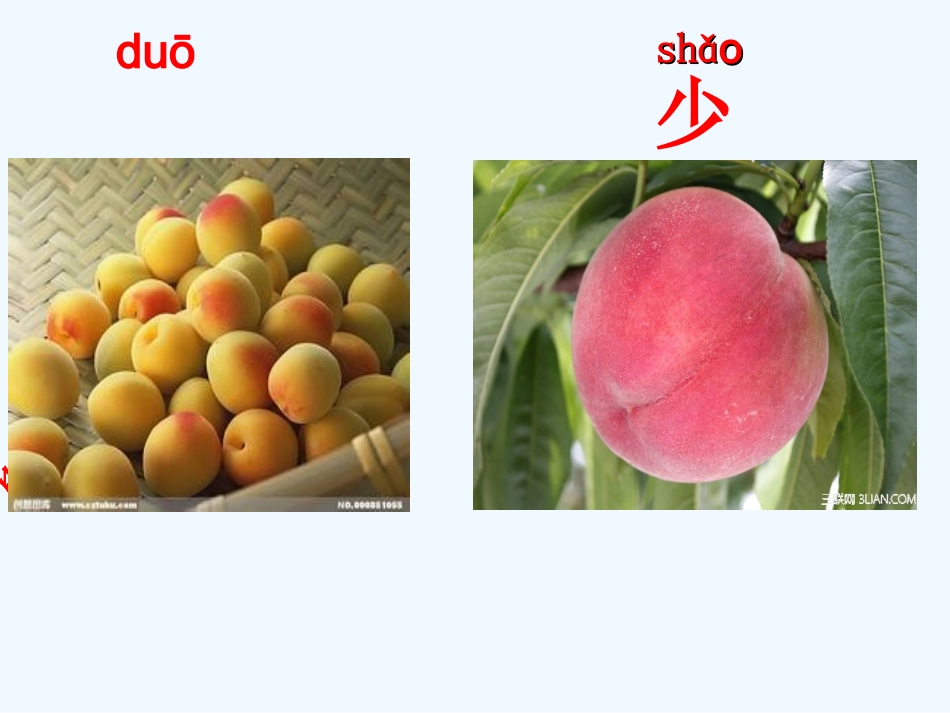 (部编)人教2011课标版一年级上册大小多少课件-(3)_第3页