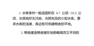 小型水库鱼鸭混养方法