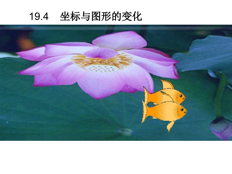 19.4--坐标与图形的变化_第1页