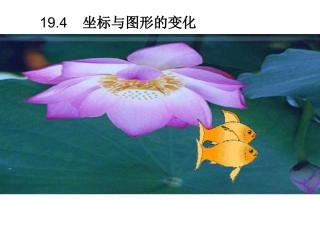 19.4--坐标与图形的变化