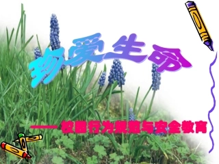 珍爱生命——校园行为规范与安全教育