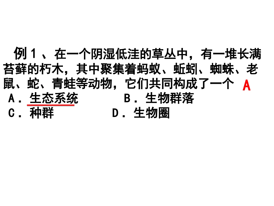 生态系统的结构PPT_第3页