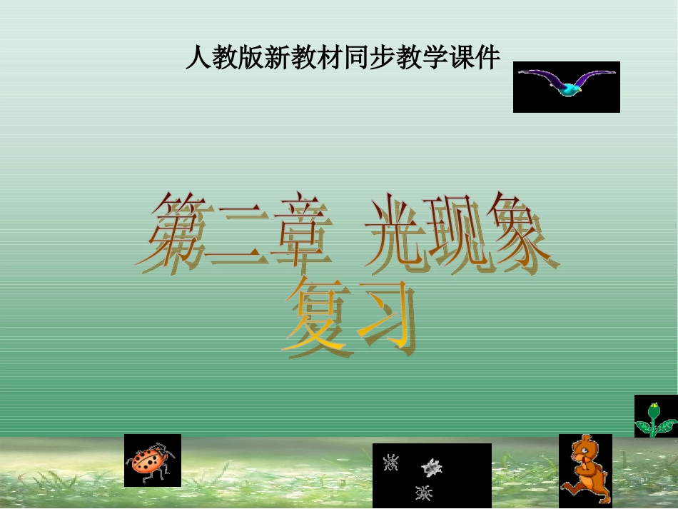 光现象复习PPT_第1页