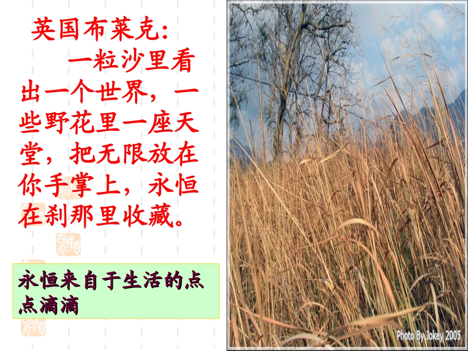 感动始于细节_第3页