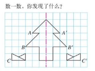 《图形的变换》1