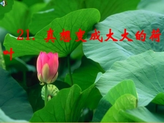 21真想变成大大的荷叶-(2)