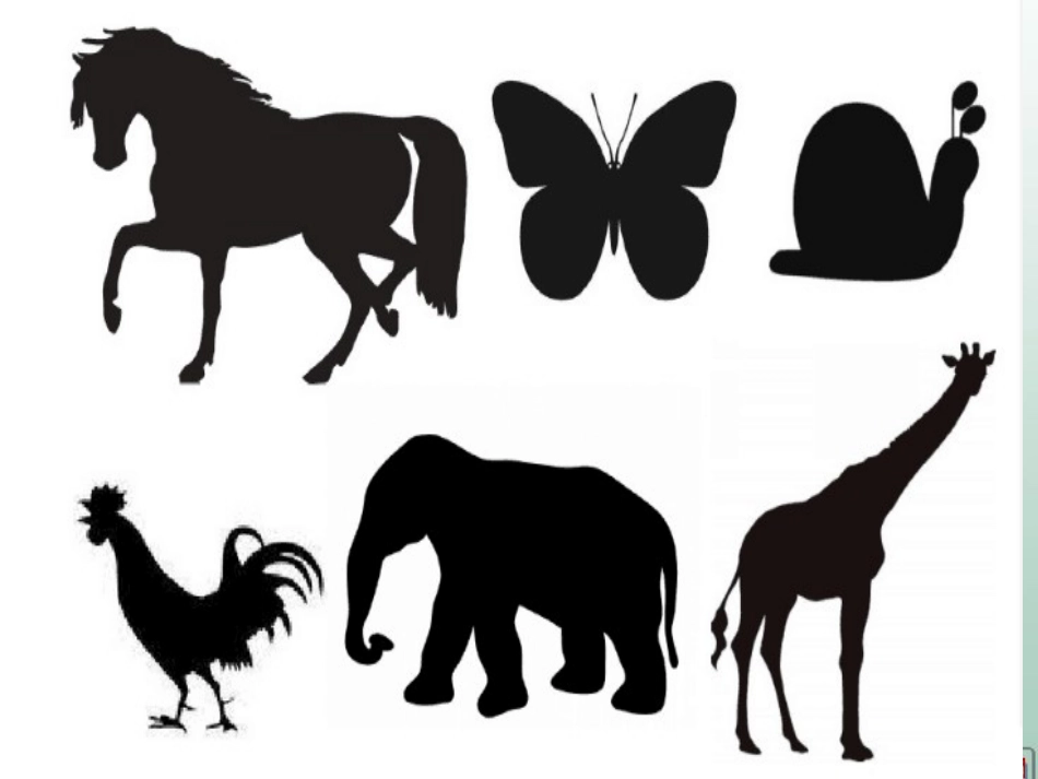 1.观察我们的身体_第2页