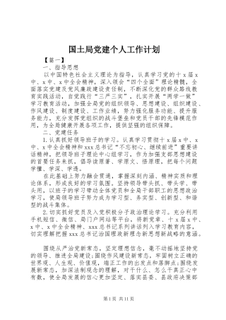 国土局党建个人工作计划