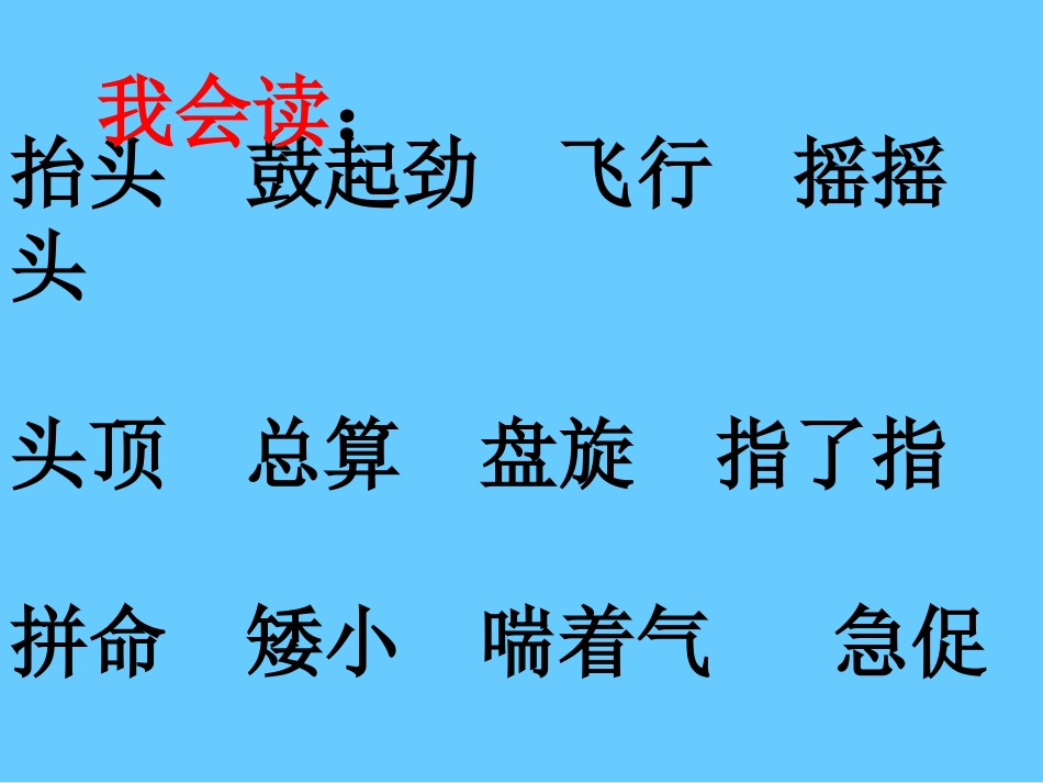 《小鹰学飞》课件_第2页