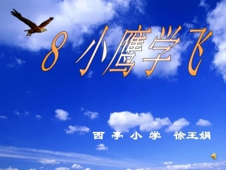 《小鹰学飞》课件
