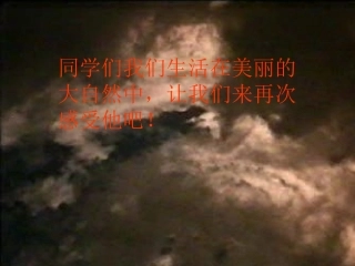 第二章认识生物的多样性