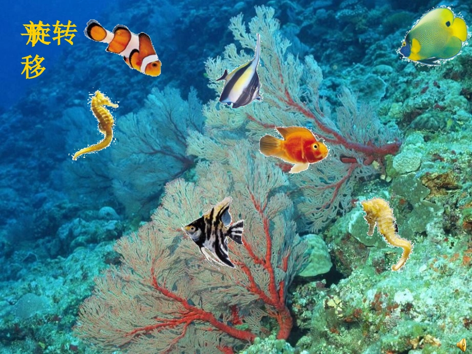 《平移和旋转》课件_第1页