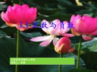 正数.负数以及0的意义.1-正数和负数-课件1--