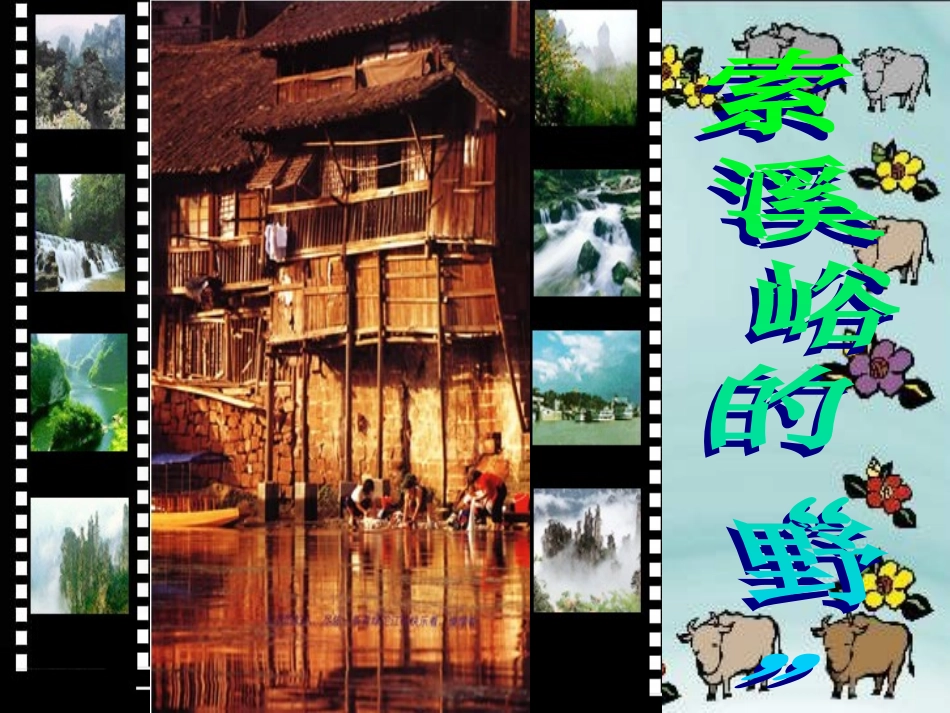 索溪峪的“野”课件_第1页