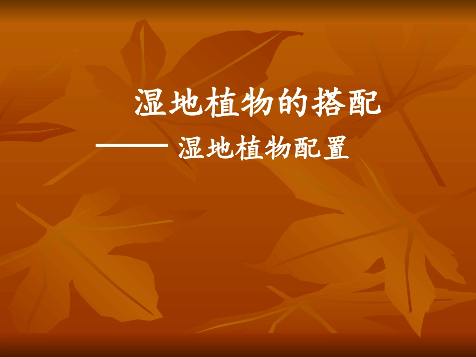 湿地植物配置_第1页