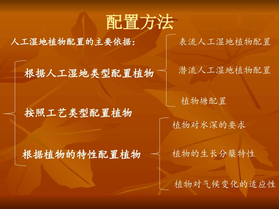 湿地植物配置_第3页