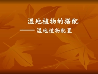 湿地植物配置