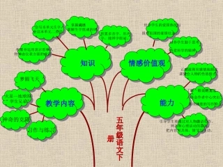 五下二单元知识树