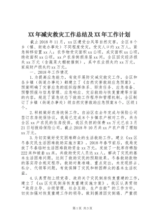 XX年减灾救灾工作总结及XX年工作计划