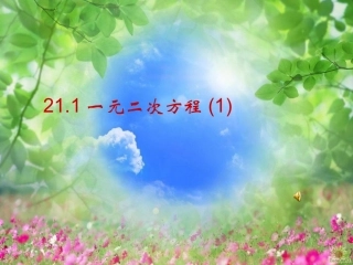 211一元二次方程的定义