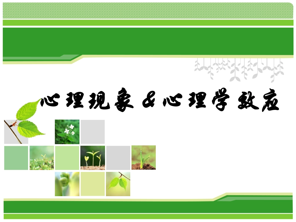 生活中的心理学现象&心理学效应_第1页