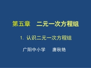 10.2二元一次方程组