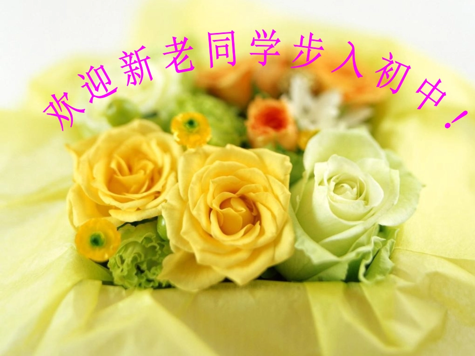 初一年级新生入学教育_第1页