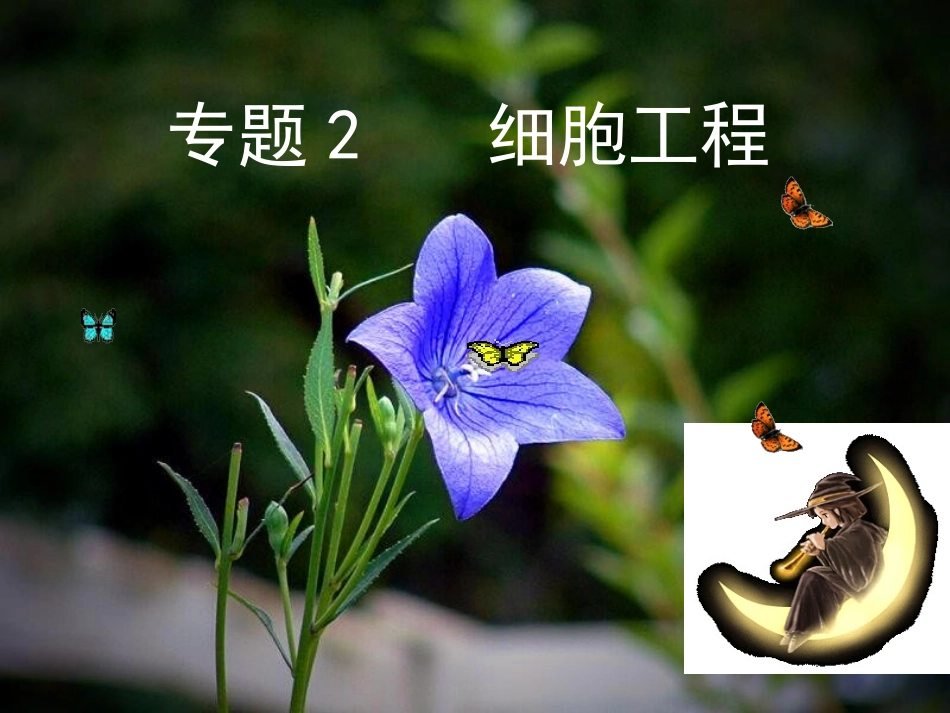 211植物细胞工程的基本技术_第1页