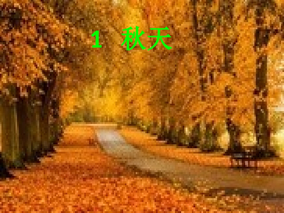 1、秋天---第一课时_第1页