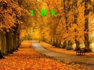 1、秋天---第一课时