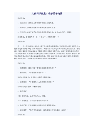奇妙的手电筒 (2)