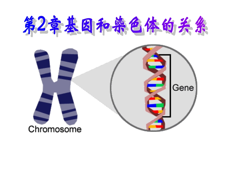 2.1《减数分裂和受精作用》复习课件1_第1页
