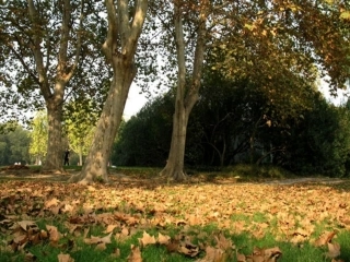 小学写景作文课件