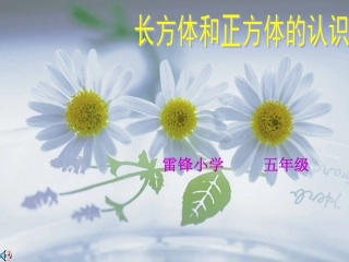 长方体和正方体的特征