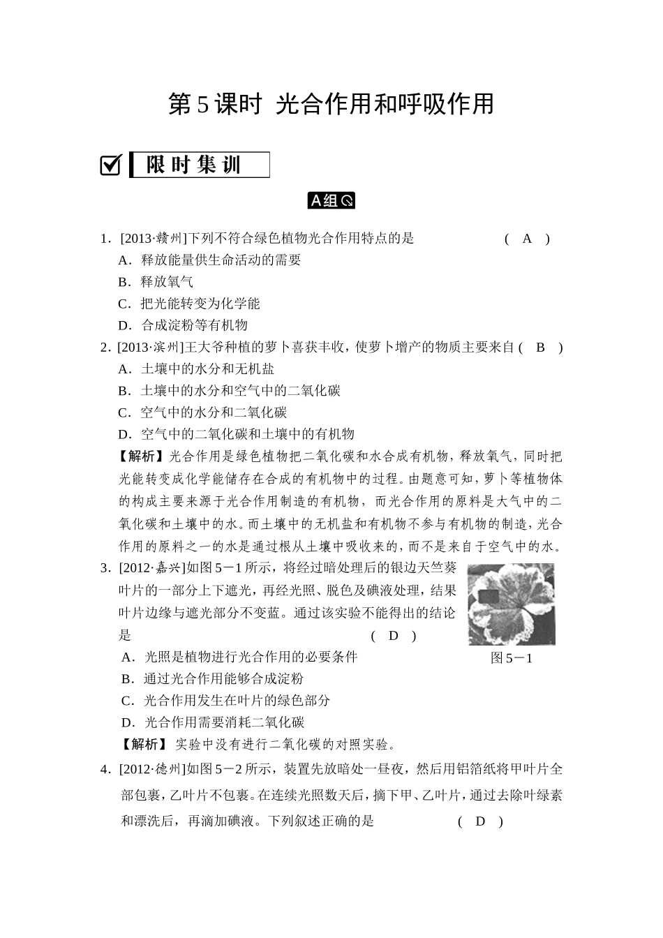 第5课时光合作用和呼吸作用_第1页