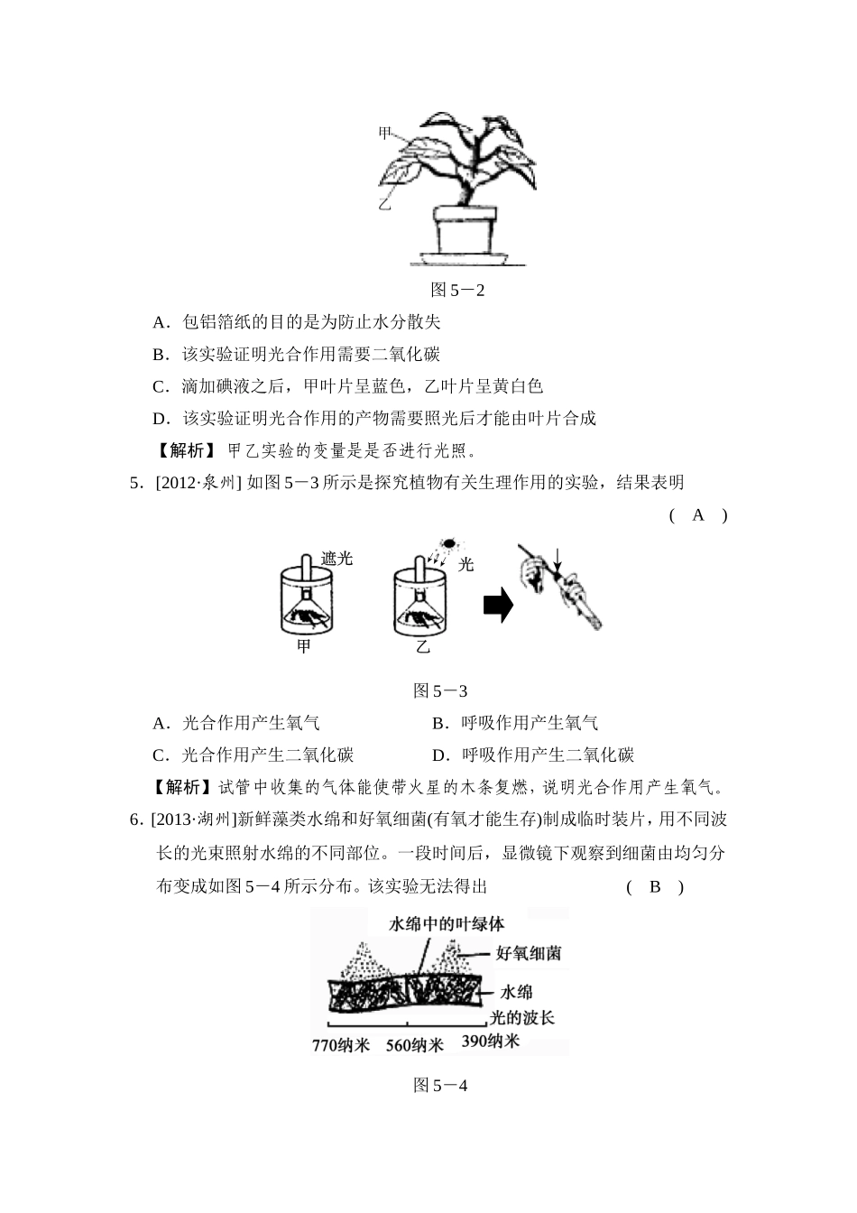 第5课时光合作用和呼吸作用_第2页