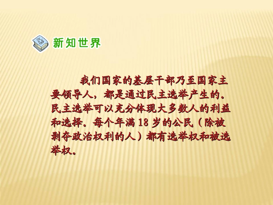 4-社会生活中的民主_第3页