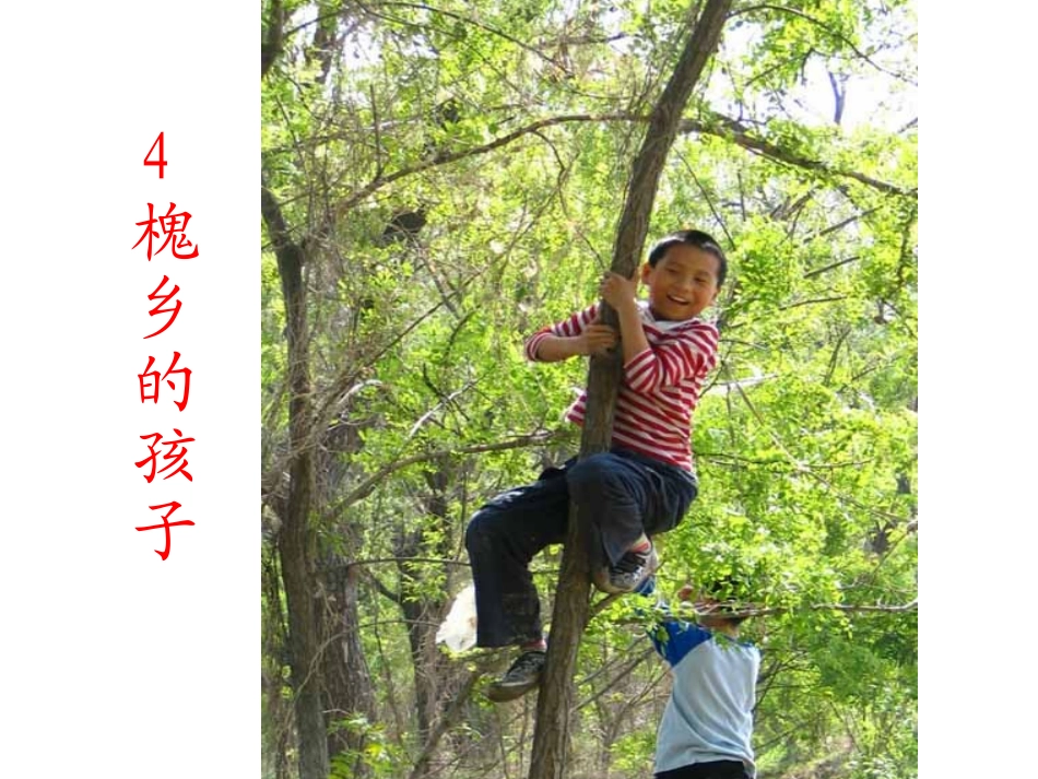 4槐乡的孩子_第1页