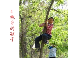 4槐乡的孩子