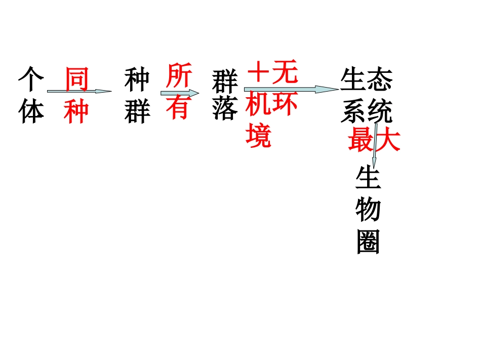 《生态系统的结构》课件_第2页
