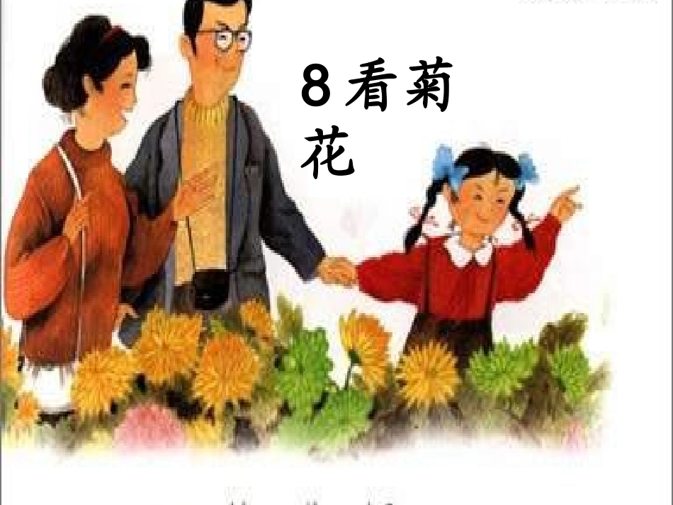 一上8《看菊花》课件_第1页