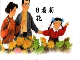 一上8《看菊花》课件