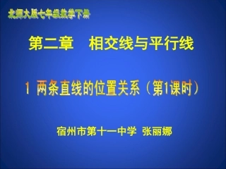 两条直线的位置关系一张丽娜