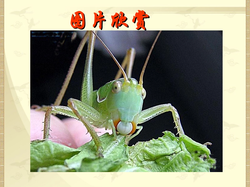 苏教版《醉翁亭记》课件_第1页