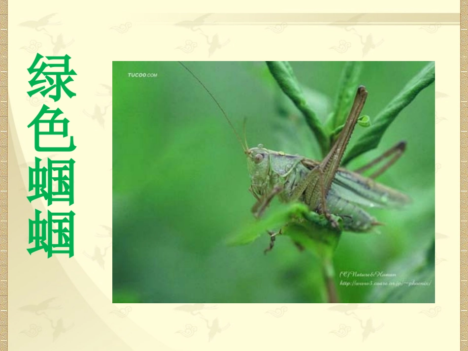 苏教版《醉翁亭记》课件_第3页