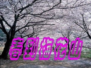 4《春到梅花山》