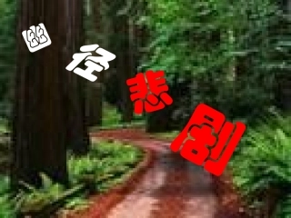 二十一幽径悲剧