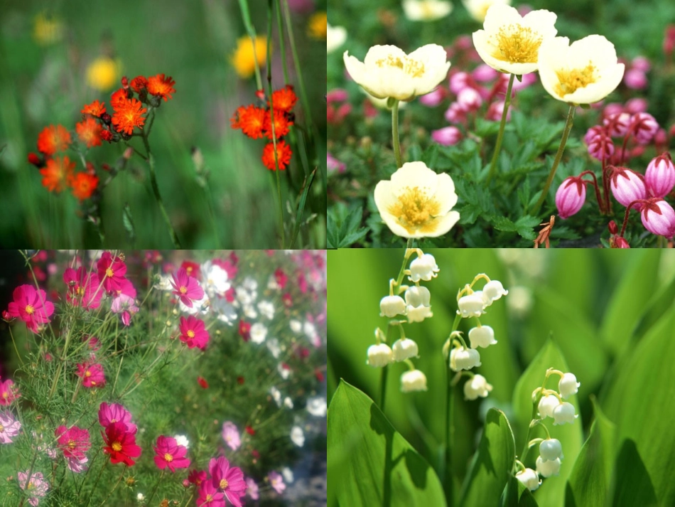 触摸春天课件._第2页