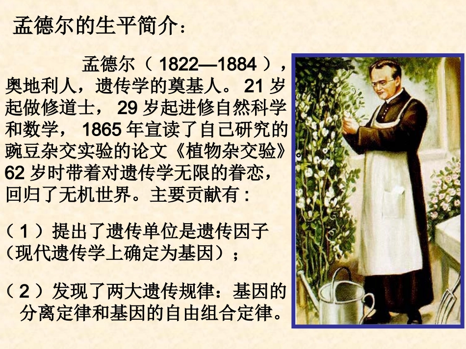 【生物】11孟德尔的豌豆杂交实验（一）课件1（人教版必修2）_第3页