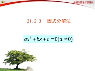 因式分解法课件